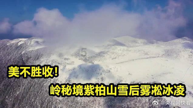 拯救受伤的男人