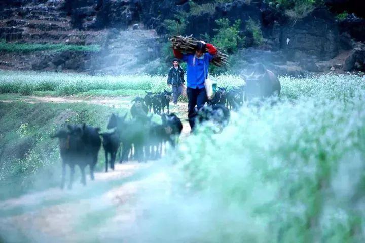 为什么很多领导使用的微信头像大多是山水景色类型的？游戏画面