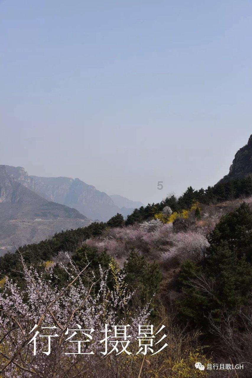 古怪巫师逃离村庄